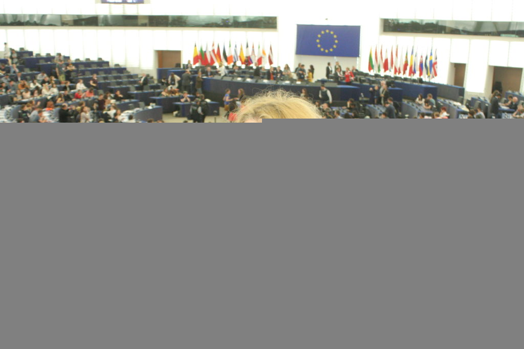 CSM na spotkaniu młodzieży w Parlamencie Europejskim w Strasburgu