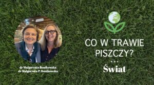 Ameryka Trumpa nie ceni słabych – dr Małgorzata Bonikowska, prezes CSM, dla Bank.pl